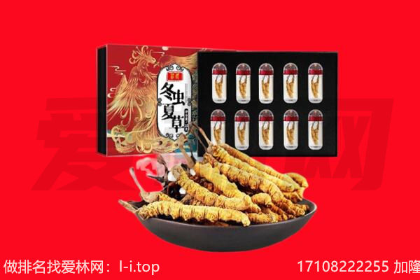 张家口市尚义回收虫草.jpg